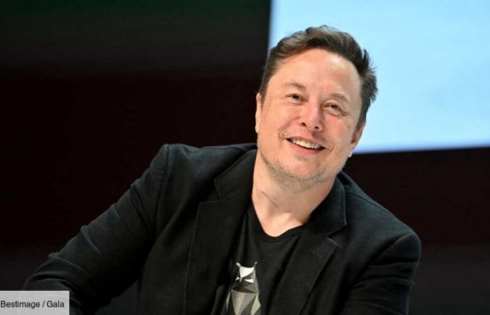 Elon Musk, padre di 12 figli: chi è il suo compagno Shivon Zilis?