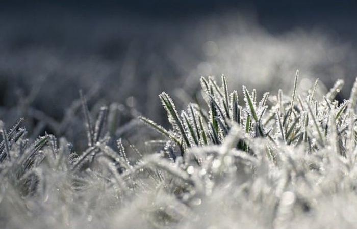 Meteo: il freddo ha colpito l'Aveyron questo mercoledì mattina, temperature negative registrate nel dipartimento