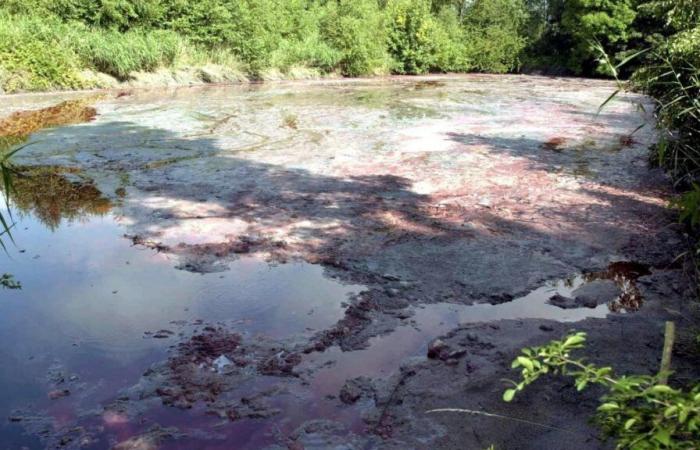 Lattice scaricato per errore nella Mosa in Francia: le autorità belghe allertano la popolazione