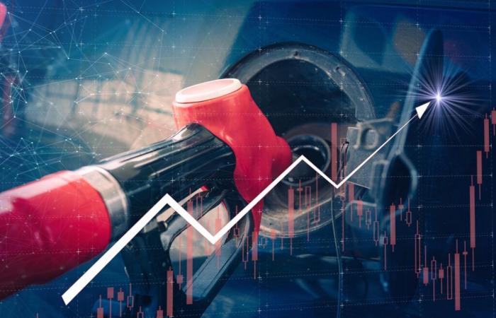 prezzi in Francia questo giovedì 14 novembre 2024