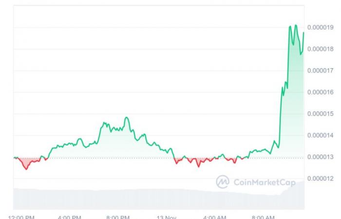 un altcoin guadagna il 270% in un giorno!