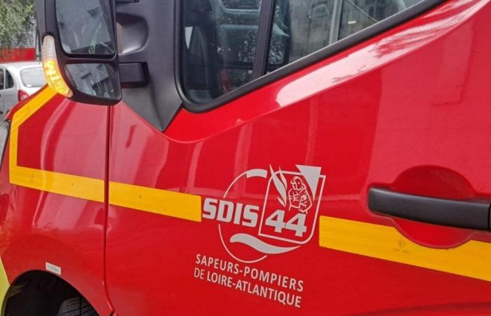 Una donna incinta di due gemelli partorisce sulla corsia di emergenza di un'autostrada nella Loira Atlantica