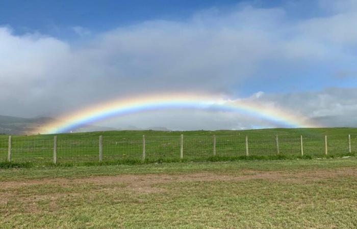 Previsioni meteo della contea di Hawaii per il 13 novembre 2024: Big Island Now