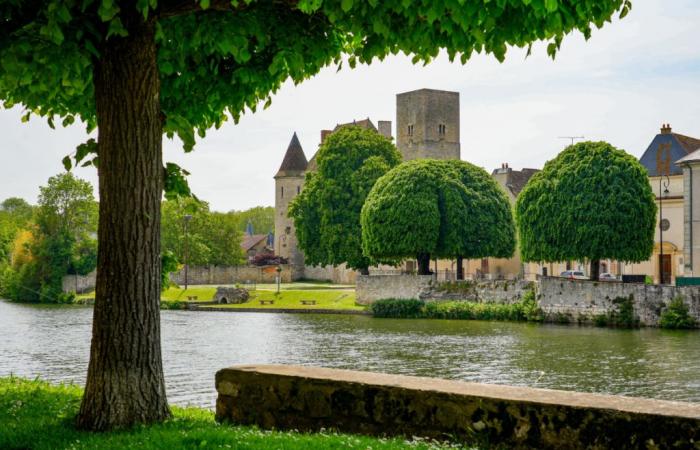 Seine-et-Marne: una bambina di 3 anni cade in acqua, la madre tenta un gesto disperato per salvarla ma l'esito è terribile