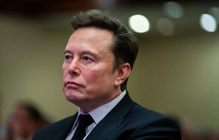 Elon Musk: suo padre accetta un'intervista con “L'inviato speciale” e denuncia un'enorme menzogna