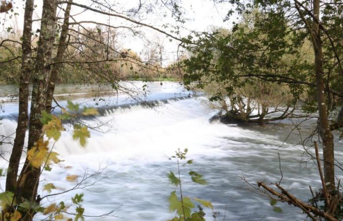 livelli dell’acqua ai massimi livelli da oltre vent’anni