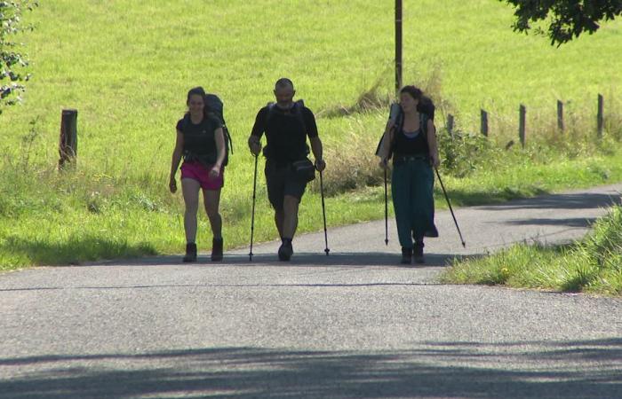 in seguito agli attacchi contro le donne sulla strada per Compostela, i pareri degli escursionisti