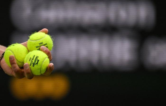 Tennis: a causa delle “condizioni meteorologiche estreme” a Malaga, rinviata la partita della BJK Cup tra Polonia e Spagna