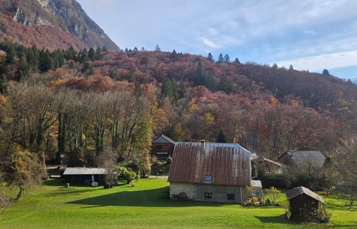 il corpo di una donna ritrovato in Svizzera, nel veicolo della madre