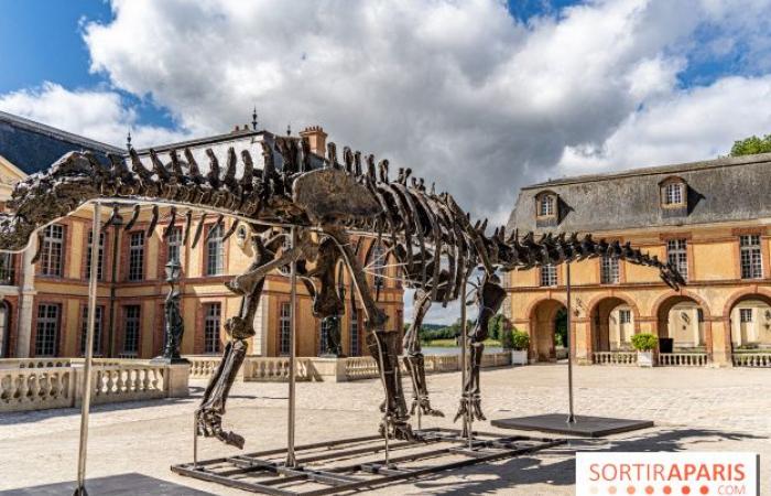 Vulcan, il più grande dinosauro venduto all’asta questo sabato 16 novembre a Dampierre-en-Yvelines