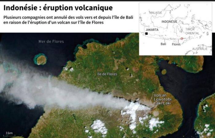 Voli cancellati a Bali a causa di un'eruzione vulcanica – 13/11/2024 alle 13:24