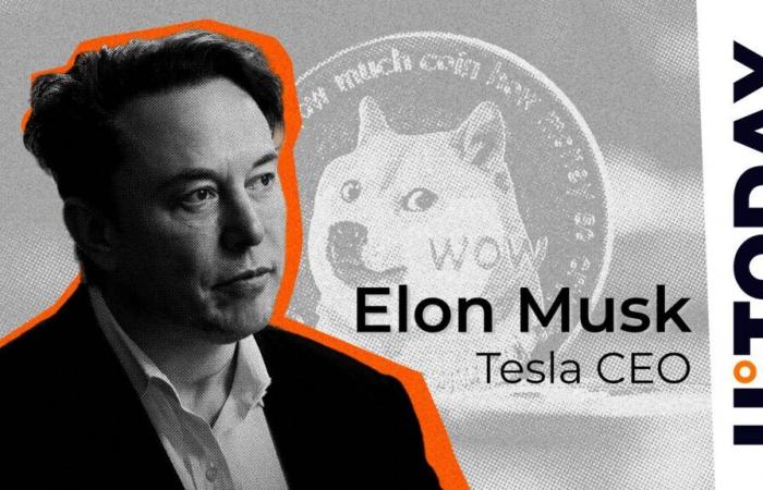 Elon Musk fa esplodere l'esercito DOGE con entusiasmo con il tweet DOGE