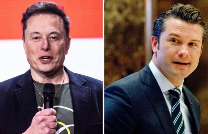 Elon Musk è stato scelto per dirigere il nuovo dipartimento di efficienza di Trump, in quanto conduttore di Fox News scelto come segretario alla Difesa | Notizie dagli Stati Uniti