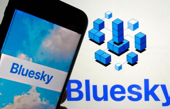 Bluesky aggiunge 1 milione di utenti dopo le elezioni statunitensi mentre gli utenti abbandonano X | Mezzi sociali