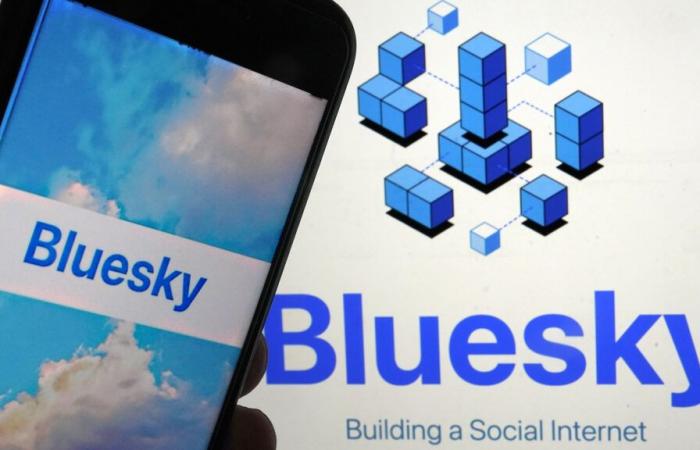 Alternativa a X: Bluesky ha guadagnato 1 milione di utenti dalle elezioni americane