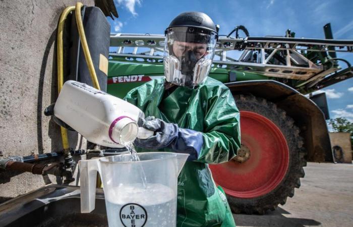 pesticidi vietati esportati dalla Francia? Sequestrato il Consiglio di Stato