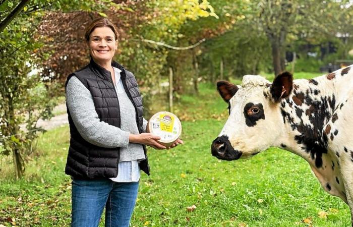 “Una grande ricompensa”: la sua azienda agricola Ille-et-Vilaine ha vinto tre medaglie per il suo formaggio a latte crudo