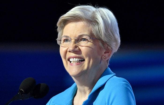 Elizabeth Warren diventa sarcastica dopo che Trump ha scelto Musk, Ramaswamy per DOGE: “Sì, sembra DAVVERO efficiente”