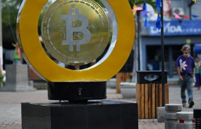 Elettrizzato da Trump, il bitcoin supera la soglia dei 90.000 dollari: Notizie