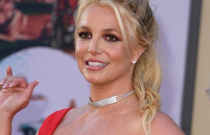 Britney Spears non dovrà più pagare il mantenimento dei figli