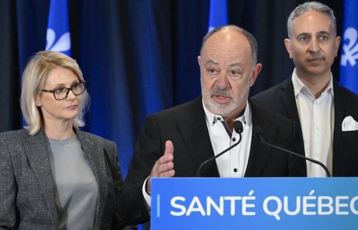 «Dovremo metterci alla prova», afferma Geneviève Biron, direttrice generale di Santé Québec