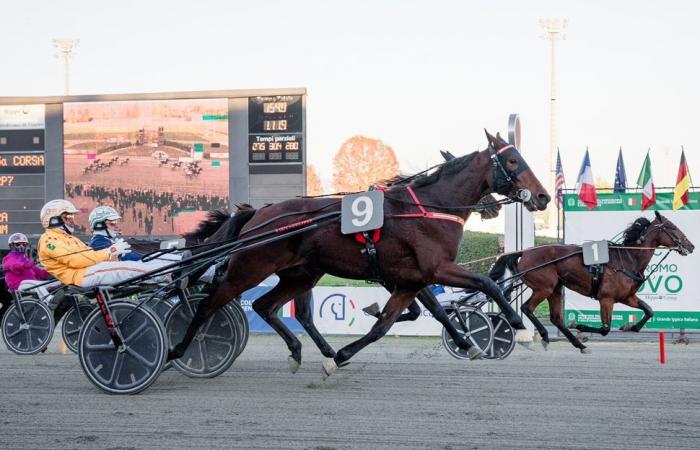 Prix ​​​​Pierre Plazen et Guy Deloison: Un match France