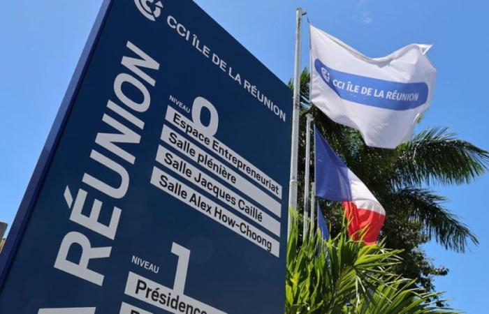 La CCI Réunion si mobilita per l'orientamento professionale