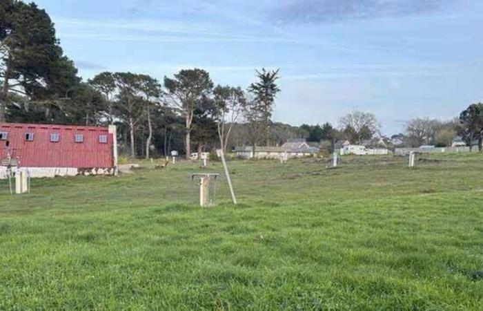 Nella Côtes-d’Armor, i lavori su questo “campo da calcio della discordia” sono ancora fermi