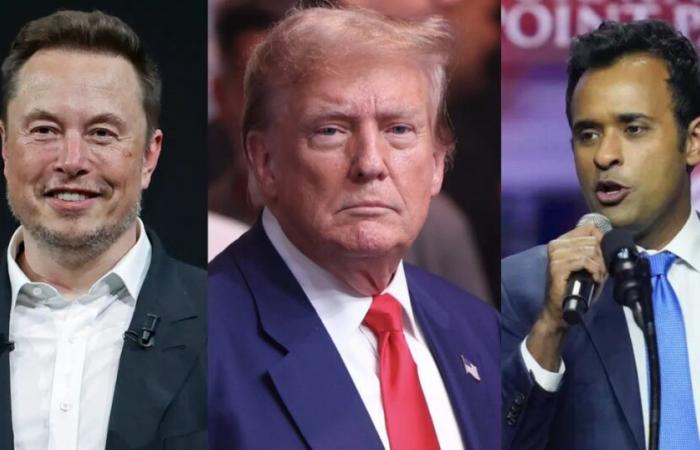 Cos’è il DOGE di Trump, guidato da Elon Musk e Vivek Ramaswamy, e perché “invierà onde d’urto” a Washington