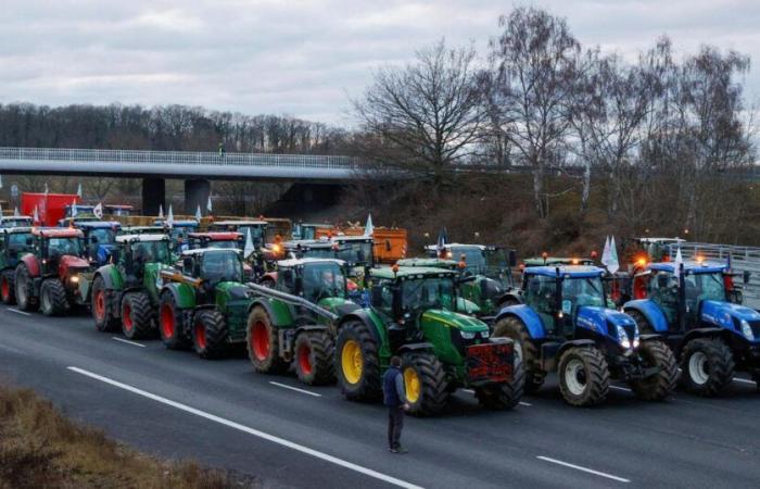 la FNSEA lancia un appello alla mobilitazione nazionale “da lunedì”