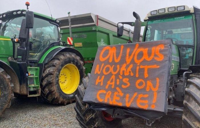 Crisi agricola: a Deux-Sèvres, gli agricoltori lanciano la loro mobilitazione domenica 17 novembre