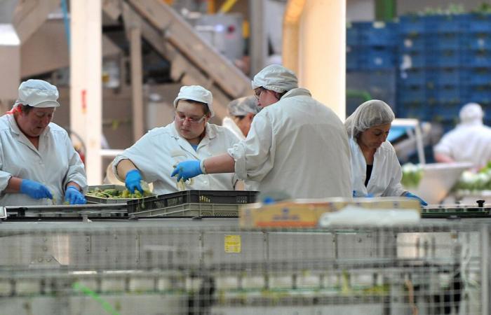 notizia delle 6 del mattino – Mosa: 159 posti di lavoro minacciati nel sito di Bonduelle a Saint-Mihiel