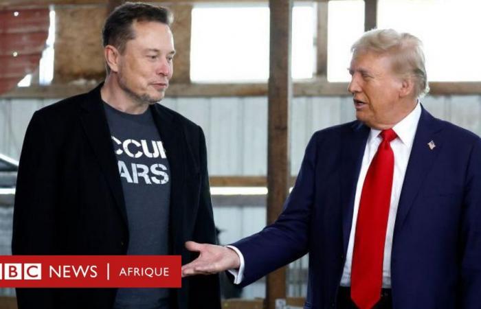 Donald Trump ed Elon Musk: il presidente eletto degli Stati Uniti nomina il fondatore di Tesla a capo del nuovo Dipartimento per l’efficacia del governo