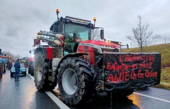 Rabbia degli agricoltori: la FDSEA dell'Oise annuncia la copertura dei radar a partire da questo giovedì