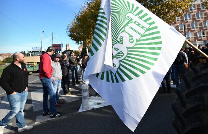 “Il nostro sindacato è apolitico, a differenza dei nostri concorrenti”… La FDSEA 47 si lancia nella corsa per la Camera dell’Agricoltura