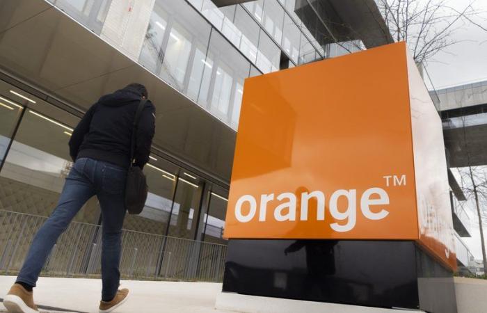 Una trentina di suicidi negli ultimi due anni in Orange: a 15 anni dalla tragedia di France Telecom, i dipendenti sono preoccupati, i sindacati lanciano l'allarme