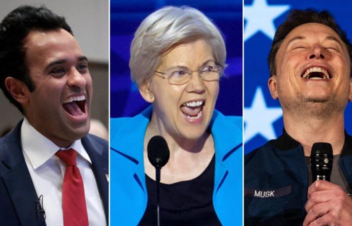 Elizabeth Warren diventa sarcastica dopo che Trump ha scelto Musk, Ramaswamy per DOGE: “Sì, sembra DAVVERO efficiente”