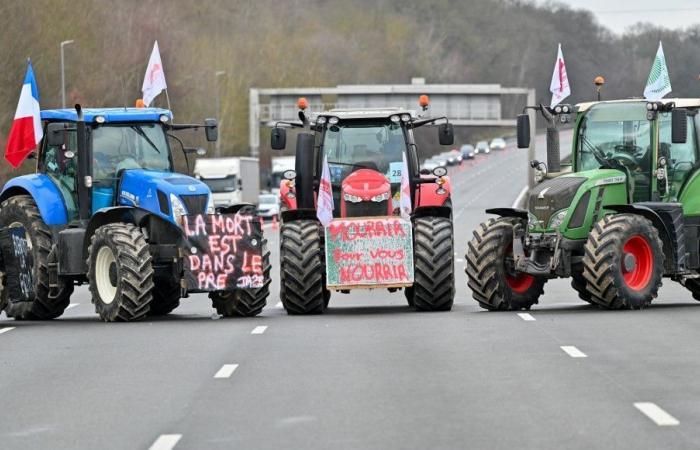 Crisi agricola: la FNSEA chiede la mobilitazione nazionale “da lunedì prossimo”