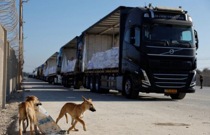 Striscia di Gaza | Perché gli aiuti umanitari stanno arrivando