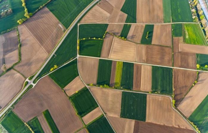 La Metropoli di Lione vuole estendere di 3.000 ettari le zone agricole protette del territorio