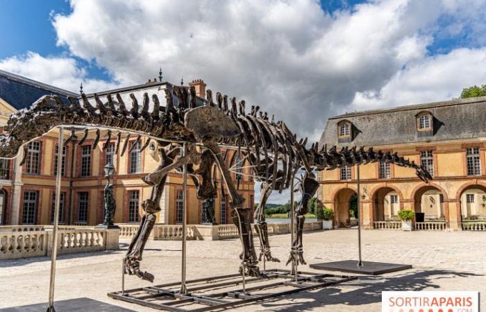 Vulcan, il più grande dinosauro venduto all’asta questo sabato 16 novembre a Dampierre-en-Yvelines