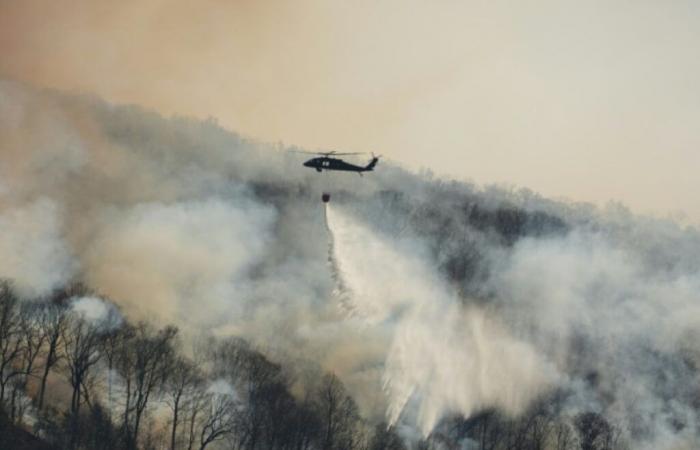 Più incendi, meno acqua: la regione di New York nella morsa di una grave siccità