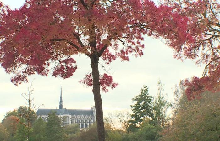 Bollettino meteorologico. Com’è il tempo questo mercoledì, 13 novembre in Alta Francia?