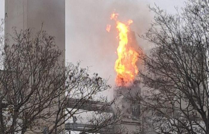 Côte-d'Or: un silo della cooperativa agricola Bourgogne du Sud vittima di un grande incendio a Beaune