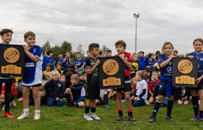 Albi. Più di 300 giovani giocatori di rugby si sono riuniti al Guitardié