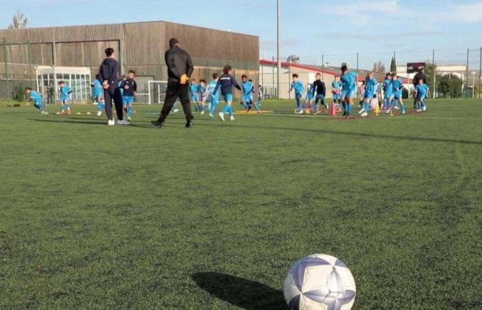 VIDEO. Quando i genitori dei giocatori di piccole società di calcio attaccano gli educatori