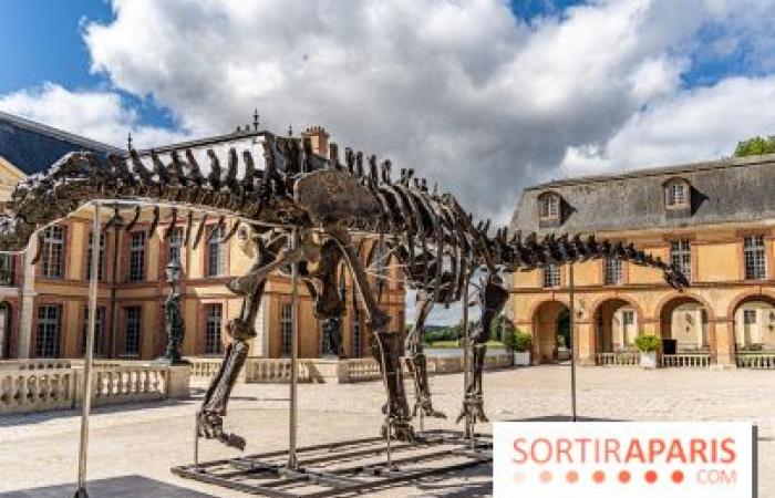 Vulcan, il più grande dinosauro venduto all’asta questo sabato 16 novembre a Dampierre-en-Yvelines