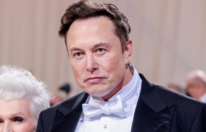 Elon Musk attacca brutalmente i francesi dopo le rivolte: “È un sacrilegio”