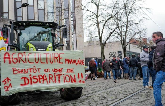 Più di 600 parlamentari francesi affermano in un forum la loro contrarietà all'accordo commerciale tra l'Unione Europea e il Mercosur