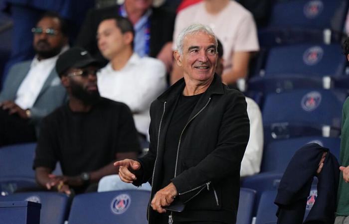 Raymond Domenech attacca nuovamente l'ASSE